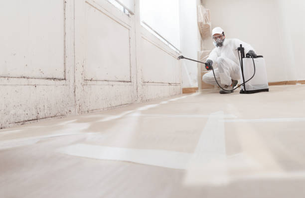 24/7 Emergency Mold Remediation experts in Andover, MA