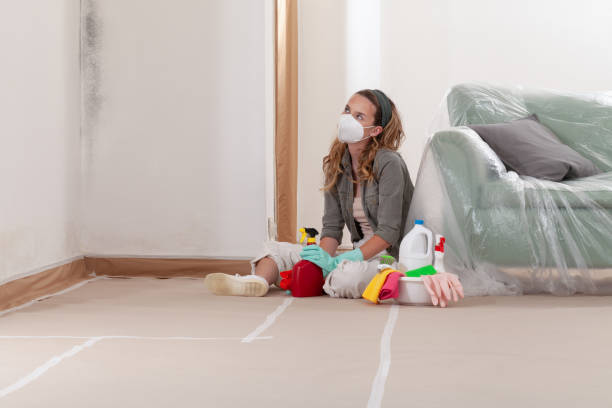 Reliable Mold Remediation contractor in Andover, MA by Car Mold Remediation
