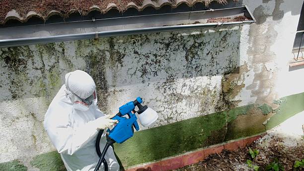 Top rated local Mold Remediation specialists in Andover, MA